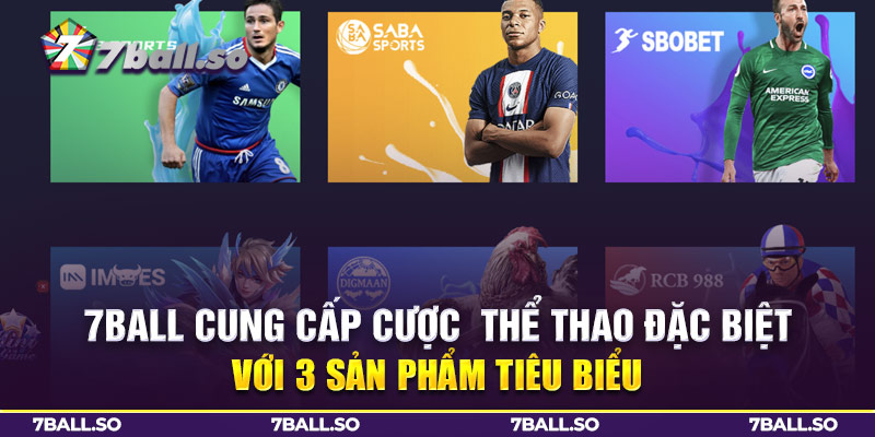 Các sản phẩm thể thao 7ball tiêu biểu