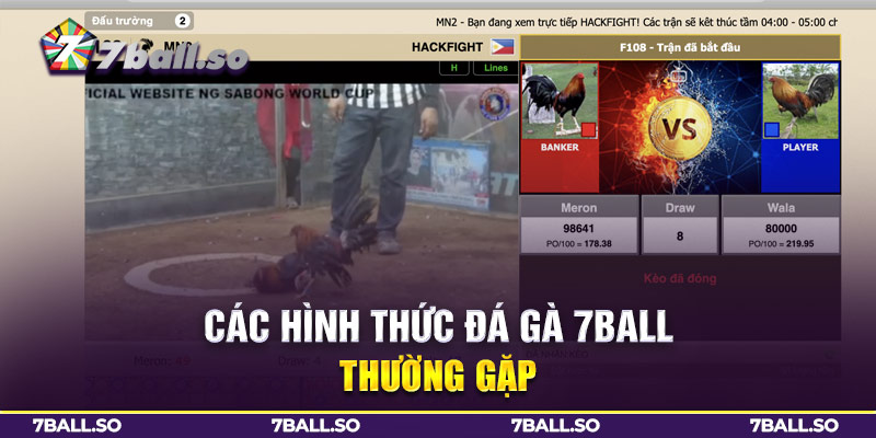 Các hình thức đá gà 7Ball thường gặp