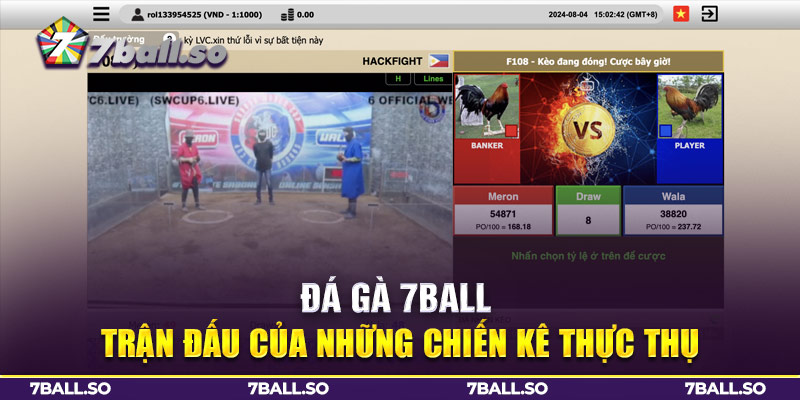 Đá Gà 7Ball – Trận Đấu Của Những Chiến Kê Thực Thụ